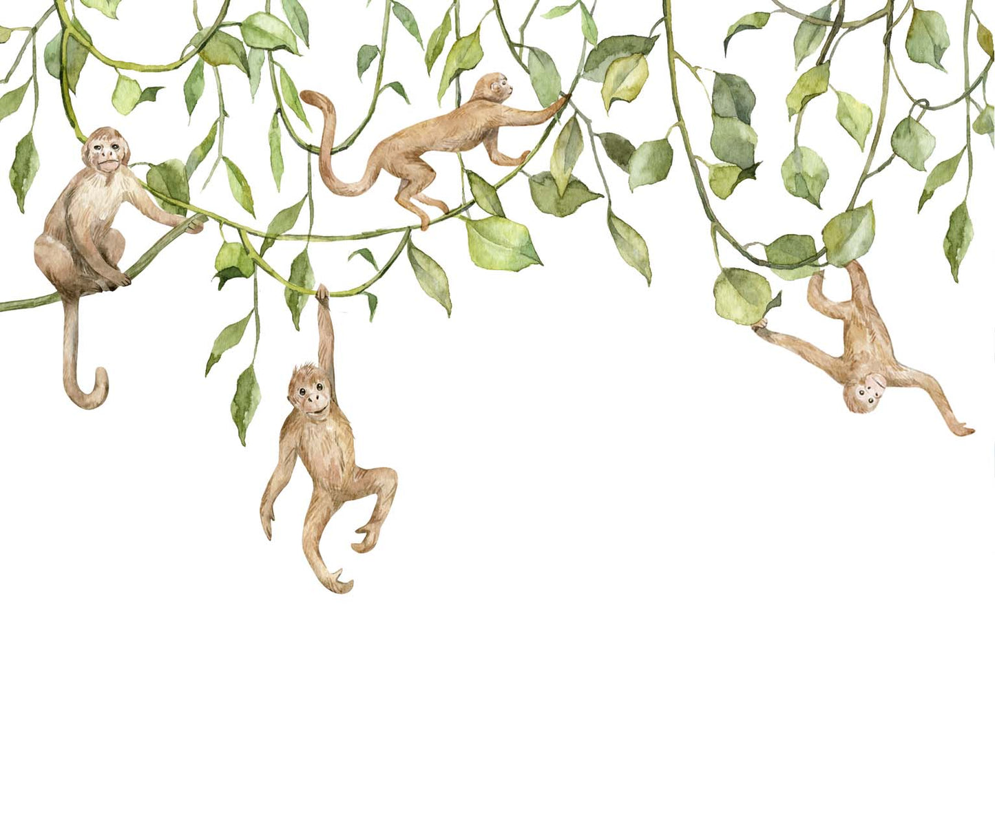 Jungle Monkey Wallpaper